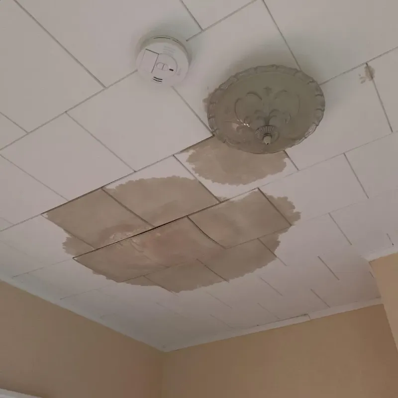 Ceiling Water Damage Repair in Papillion, NE
