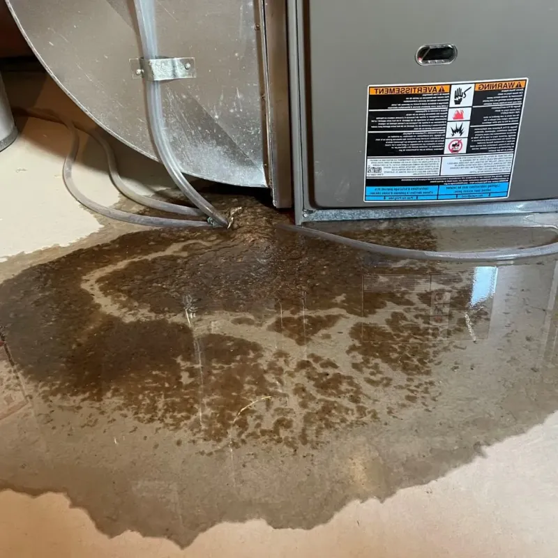 Pipe Burst and Leak Restoration in Papillion, NE